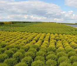 máquinas modernas utilizadas en cuidado de plantas